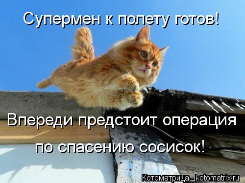 Супермен к полету готов! Впереди предстоит операция по спасению сосисок!... Котоматрица: Супермен к полету готов! Впереди предстоит операция по спасению сосисок!