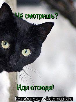 Чё смотришь? Иди отсюда!... Котоматрица: Чё смотришь? Иди отсюда!