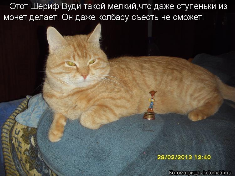Этот Шериф Вуди такой мелкий,что даже ступеньки из монет делает! Он даже колбасу съесть не сможет!... Котоматрица: Этот Шериф Вуди такой мелкий,что даже ступеньки из монет делает! Он даже колбасу съесть не сможет!