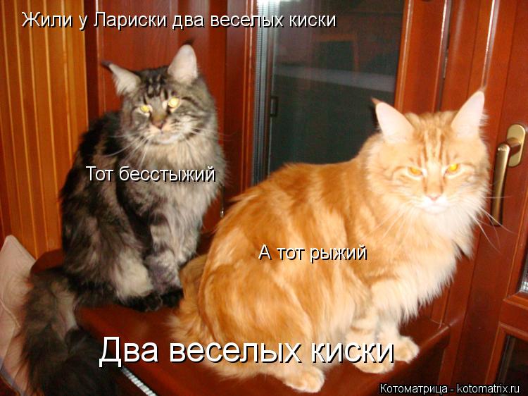 Жили у Лариски два веселых киски Тот бесстыжий А тот рыжий Два веселых киски... Котоматрица: Жили у Лариски два веселых киски Тот бесстыжий А тот рыжий Два веселых киски