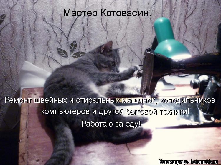 Котоматрица: компьютеров и другой бытовой техники!  Работаю за еду! Мастер Котовасин. Ремонт швейных и стиральных машинок, холодильников,