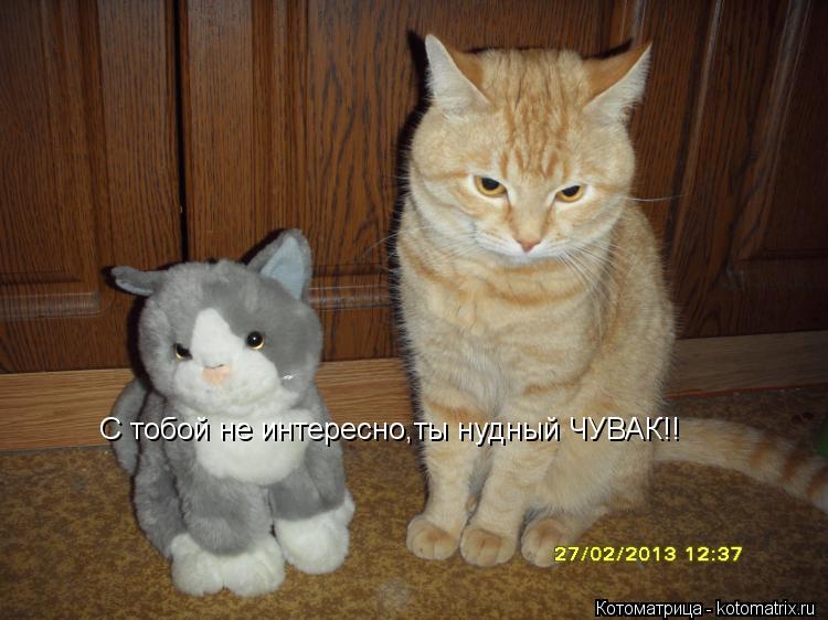С тобой не интересно,ты нудный ЧУВАК!!... Котоматрица: С тобой не интересно,ты нудный ЧУВАК!!