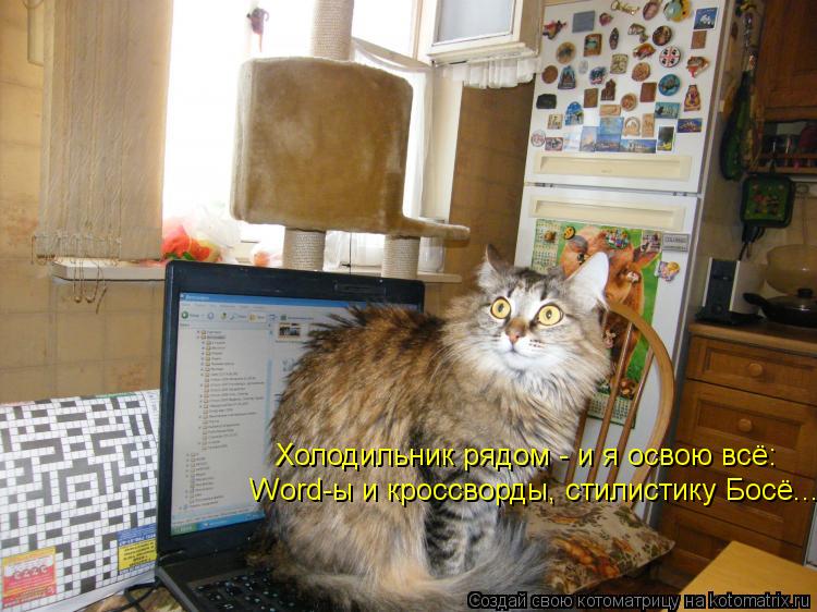 Холодильник рядом - и я освою всё: Word-ы и кроссворды, стилистику Босё...... Котоматрица: Холодильник рядом - и я освою всё: Word-ы и кроссворды, стилистику Босё...