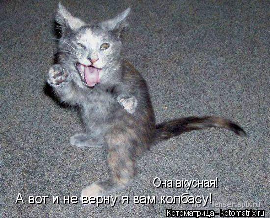 А вот и не верну я вам колбасу! Она вкусная!... Котоматрица: А вот и не верну я вам колбасу! Она вкусная!