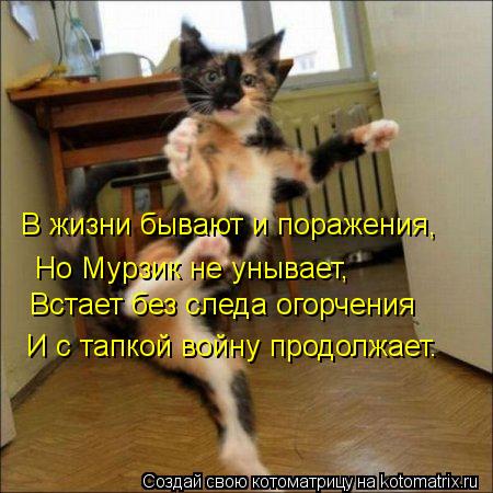 В жизни бывают и поражения, Но Мурзик не унывает, Встает без следа огорчения И с тапкой войну продолж... Котоматрица: В жизни бывают и поражения, Но Мурзик не унывает, Встает без следа огорчения И с тапкой войну продолжает.