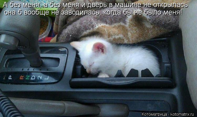 А без меня, а без меня и дверь в машине не открылась она б вообще не заводилась, когда бы не было ме... Котоматрица: А без меня, а без меня и дверь в машине не открылась она б вообще не заводилась, когда бы не было меня!