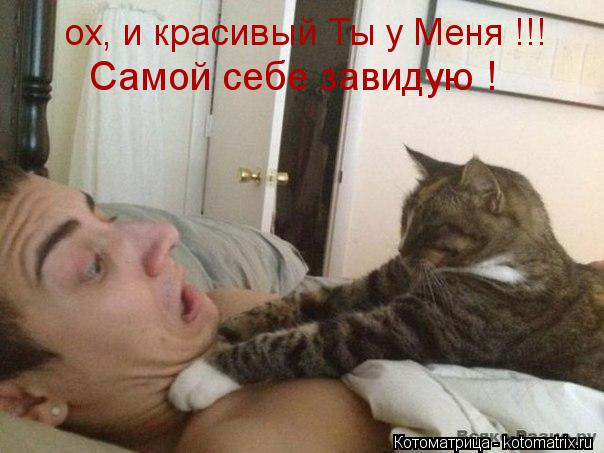 ох, и красивый Ты у Меня !!! Самой себе завидую !... Котоматрица: ох, и красивый Ты у Меня !!! Самой себе завидую !