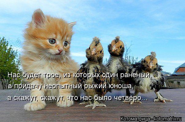 Нас будет трое, из которых один раненый, в придачу неопытный рыжий юноша, а скажут, скажут, что нас б... Котоматрица: Нас будет трое, из которых один раненый, в придачу неопытный рыжий юноша, а скажут, скажут, что нас было четверо...
