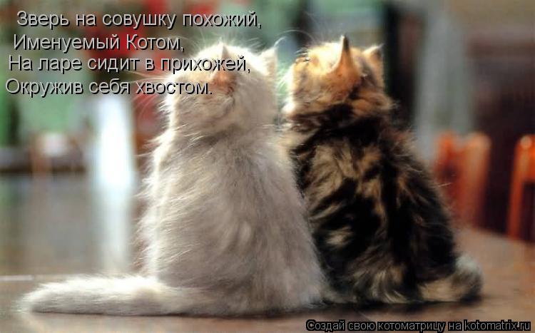 Зверь на совушку похожий, Именуемый Котом, На ларе сидит в прихожей, Окружив себя хвостом.... Котоматрица: Зверь на совушку похожий, Именуемый Котом, На ларе сидит в прихожей, Окружив себя хвостом.