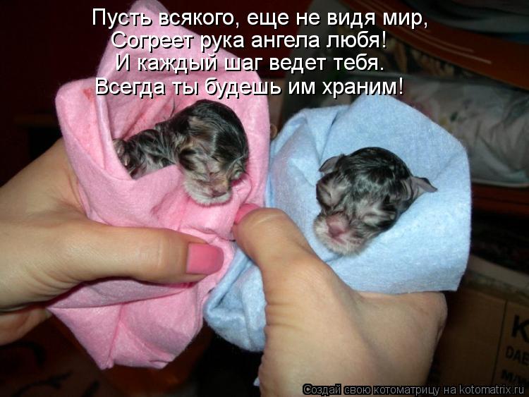 Пусть всякого, еще не видя мир, Согреет рука ангела любя! И каждый шаг ведет тебя. Всегда ты будешь и... Котоматрица: Пусть всякого, еще не видя мир, Согреет рука ангела любя! И каждый шаг ведет тебя. Всегда ты будешь им храним!