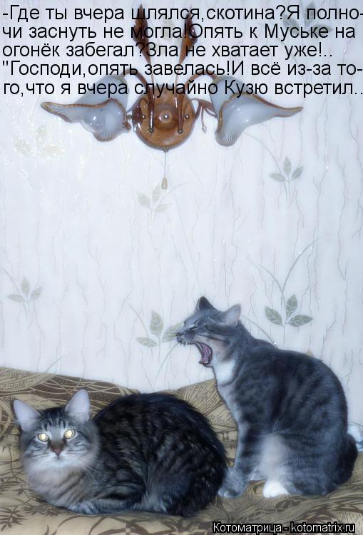 -Где ты вчера шлялся,скотина?Я полно- чи заснуть не могла!Опять к Муське на огонёк забегал?Зла не хва... Котоматрица: -Где ты вчера шлялся,скотина?Я полно- чи заснуть не могла!Опять к Муське на огонёк забегал?Зла не хватает уже!.. "Господи,опять завелась!И всё