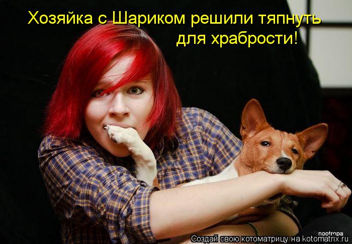 Хозяйка с Шариком решили тяпнуть для храбрости!... Котоматрица: Хозяйка с Шариком решили тяпнуть для храбрости!