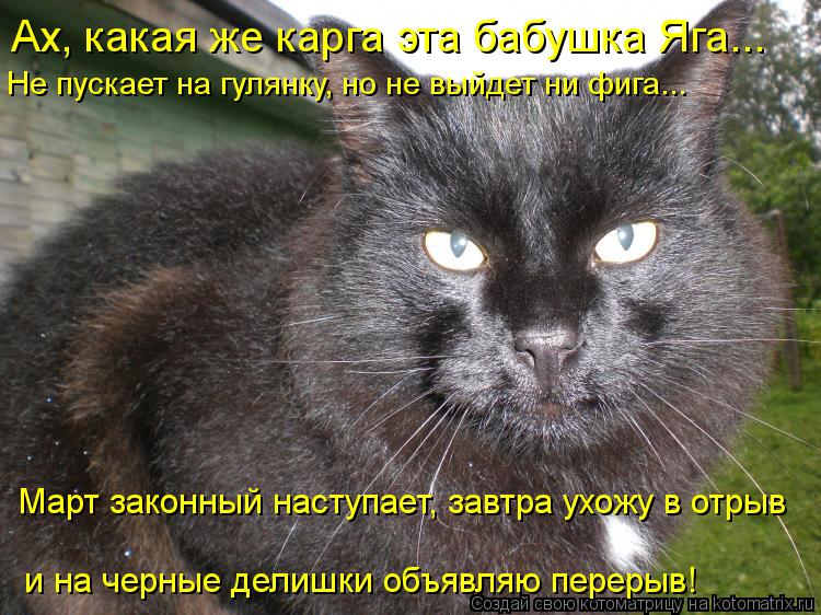 Не пускает на гулянку, но не выйдет ни фига... Ах, какая же карга эта бабушка Яга... Март законный на... Котоматрица: Не пускает на гулянку, но не выйдет ни фига... Ах, какая же карга эта бабушка Яга... Март законный наступает, завтра ухожу в отрыв и на черные де