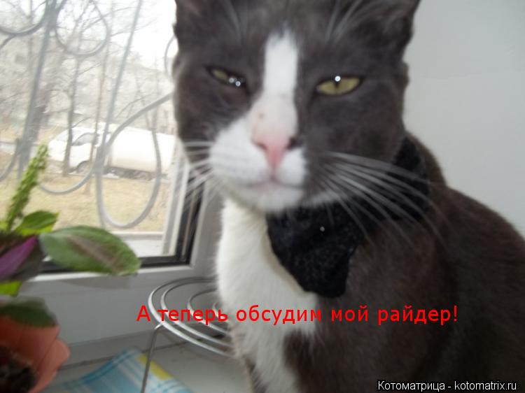 А теперь обсудим мой райдер!... Котоматрица: А теперь обсудим мой райдер!