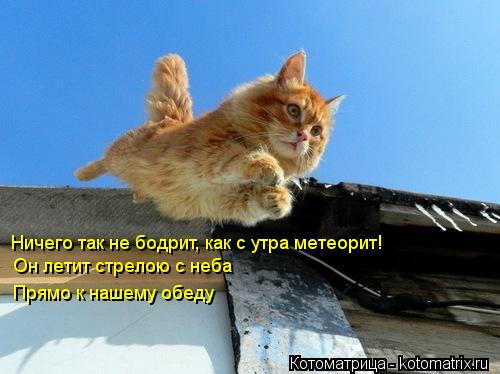 Ничего так не бодрит, как с утра метеорит! Он летит стрелою с неба Прямо к нашему обеду... Котоматрица: Ничего так не бодрит, как с утра метеорит! Он летит стрелою с неба Прямо к нашему обеду