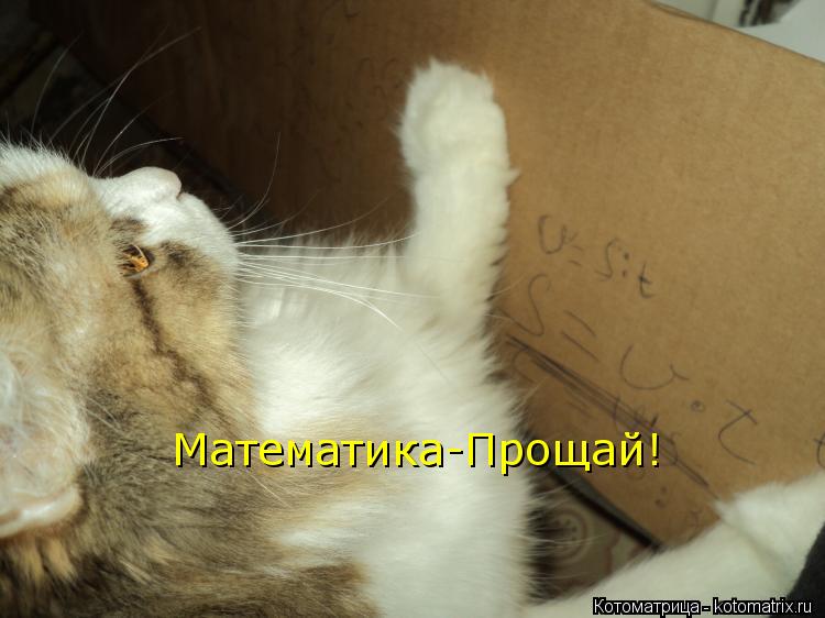 Математика-Прощай!... Котоматрица: Математика-Прощай!