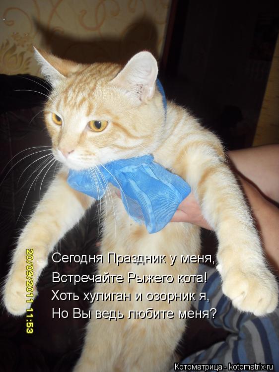 Сегодня Праздник у меня, Встречайте Рыжего кота! Хоть хулиган и озорник я, Но Вы ведь любите меня?... Котоматрица: Сегодня Праздник у меня, Встречайте Рыжего кота! Хоть хулиган и озорник я, Но Вы ведь любите меня?