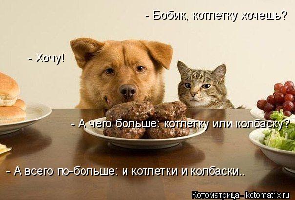 - Бобик, котлетку хочешь? - Хочу! - А чего больше: котлетку или колбаску? - А всего по-больше: и котл... Котоматрица: - Бобик, котлетку хочешь? - Хочу! - А чего больше: котлетку или колбаску? - А всего по-больше: и котлетки и колбаски..