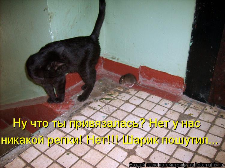 Ну что ты привязалась? Нет у нас никакой репки! Нет!!! Шарик пошутил...... Котоматрица: Ну что ты привязалась? Нет у нас никакой репки! Нет!!! Шарик пошутил...