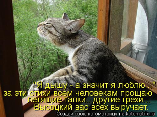 "Я дышу - а значит я люблю..." за эти стихи всем человекам прощаю летящие тапки...другие грехи... Выс... Котоматрица: "Я дышу - а значит я люблю..." за эти стихи всем человекам прощаю летящие тапки...другие грехи... Высоцкий вас всех выручает.