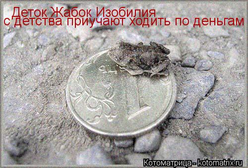 Деток Жабок Изобилия с детства приучают ходить по деньгам... Котоматрица: Деток Жабок Изобилия с детства приучают ходить по деньгам