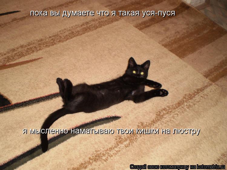 пока вы думаете что я такая уся-пуся я мысленно наматываю твои кишки на люстру... Котоматрица: пока вы думаете что я такая уся-пуся я мысленно наматываю твои кишки на люстру