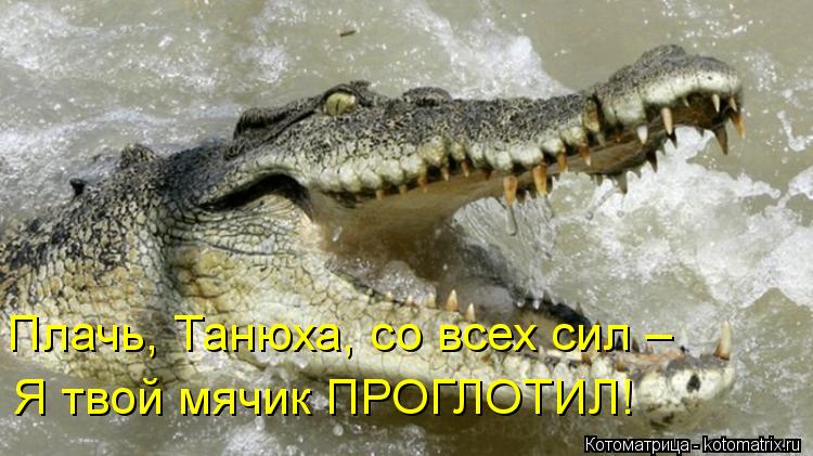 Котоматрица: Плачь, Танюха, со всех сил –  Я твой мячик ПРОГЛОТИЛ!