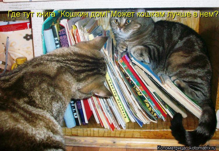 Где тут книга "Кошкин дом!"Может кошкам лучше в нем?... Котоматрица: Где тут книга "Кошкин дом!"Может кошкам лучше в нем?