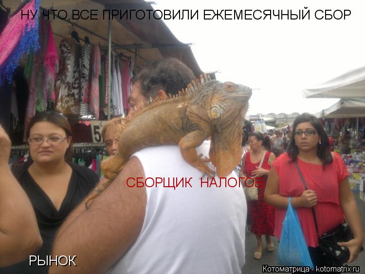 РЫНОК НУ ЧТО,ВСЕ ПРИГОТОВИЛИ ЕЖЕМЕСЯЧНЫЙ СБОР СБОРЩИК НАЛОГОВ... Котоматрица: РЫНОК НУ ЧТО,ВСЕ ПРИГОТОВИЛИ ЕЖЕМЕСЯЧНЫЙ СБОР СБОРЩИК НАЛОГОВ