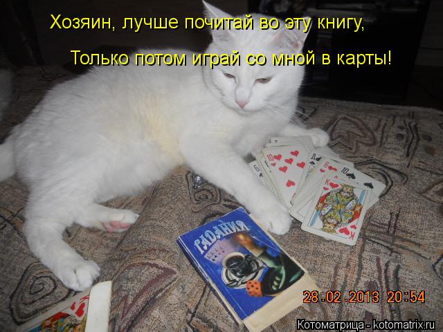 Хозяин, лучше почитай во эту книгу, Только потом играй со мной в карты!... Котоматрица: Хозяин, лучше почитай во эту книгу, Только потом играй со мной в карты!