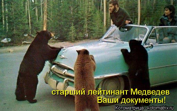 старший лейтинант Медведев Ваши документы!... Котоматрица: старший лейтинант Медведев Ваши документы!