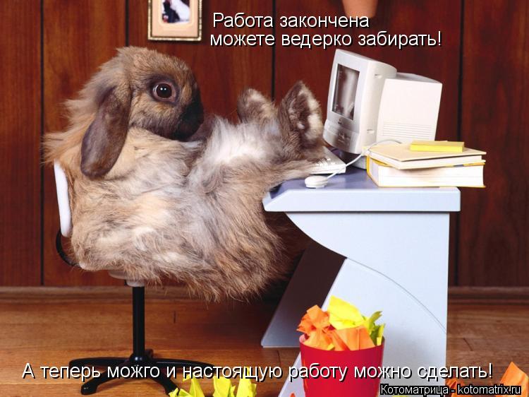 Работа закончена можете ведерко забирать! А теперь можго и настоящую работу можно сделать!... Котоматрица: Работа закончена можете ведерко забирать! А теперь можго и настоящую работу можно сделать!