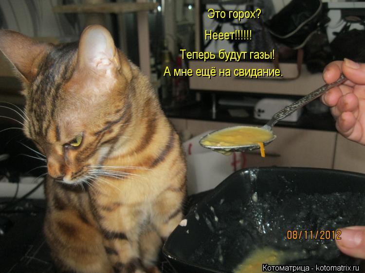 Это горох? Нееет!!!!!! Теперь будут газы! А мне ещё на свидание.... Котоматрица: Это горох? Нееет!!!!!! Теперь будут газы! А мне ещё на свидание.