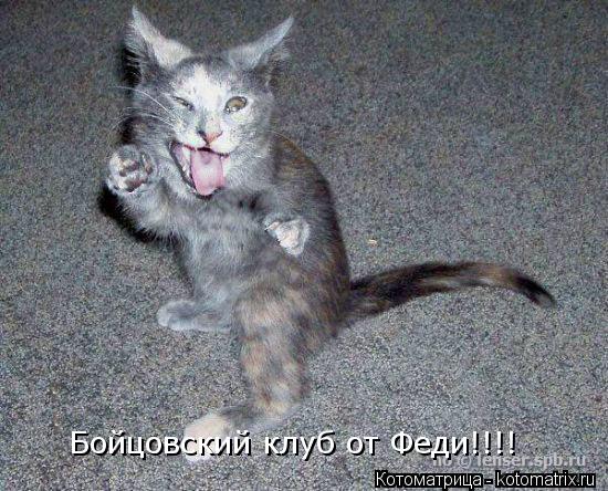 Бойцовский клуб от Феди!!!!... Котоматрица: Бойцовский клуб от Феди!!!!