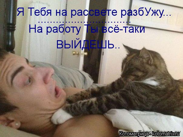 Я Тебя на рассвете разбУжу... ............................... На работу Ты всё-таки ВЫЙДЕШЬ..... Котоматрица: Я Тебя на рассвете разбУжу... ............................... На работу Ты всё-таки ВЫЙДЕШЬ..