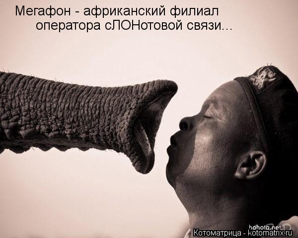 Мегафон - африканский филиал оператора сЛОНотовой связи...... Котоматрица: Мегафон - африканский филиал оператора сЛОНотовой связи...