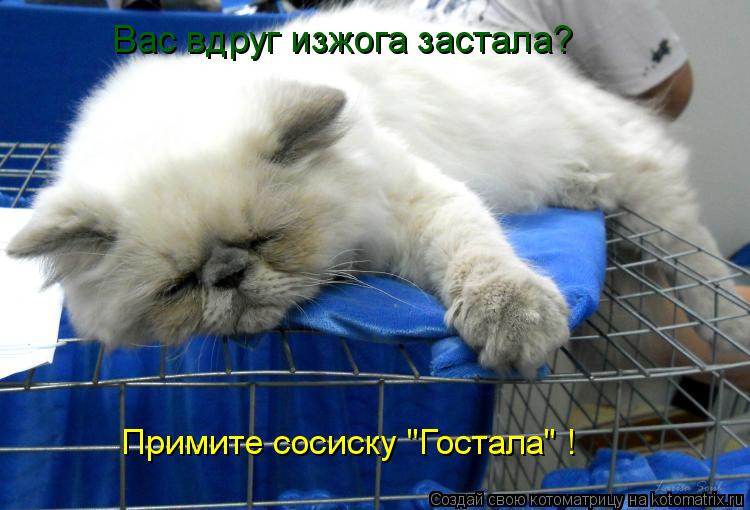 Примите сосиску "Гостала" ! Вас вдруг изжога застала?... Котоматрица: Примите сосиску "Гостала" ! Вас вдруг изжога застала?