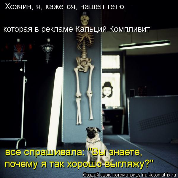 Хозяин, я, кажется, нашел тетю, которая в рекламе Кальций Компливит все спрашивала: "Вы знаете, по... Котоматрица: Хозяин, я, кажется, нашел тетю, которая в рекламе Кальций Компливит все спрашивала: "Вы знаете, почему я так хорошо выгляжу?"