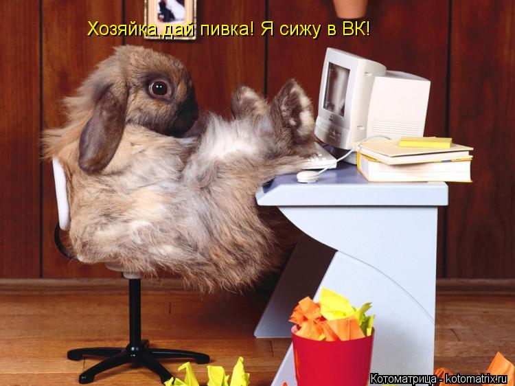 Хозяйка,дай пивка! Я сижу в ВК!... Котоматрица: Хозяйка,дай пивка! Я сижу в ВК!