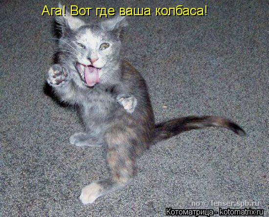 Ага! Вот где ваша колбаса!... Котоматрица: Ага! Вот где ваша колбаса!