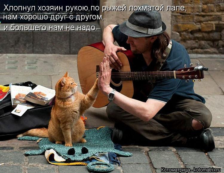 Хлопнул хозяин рукою,по рыжей лохматой лапе, нам хорошо друг с другом, и большего нам не надо.... Котоматрица: Хлопнул хозяин рукою,по рыжей лохматой лапе, нам хорошо друг с другом, и большего нам не надо.