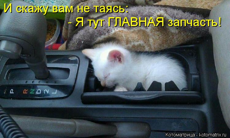 И скажу вам не таясь: - Я тут ГЛАВНАЯ запчасть!... Котоматрица: И скажу вам не таясь: - Я тут ГЛАВНАЯ запчасть!