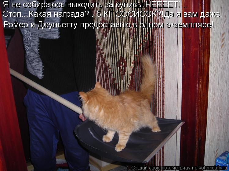 Я не собираюсь выходить за кулисы!НЕЕЕЕТ!... Стоп...Какая награда?...5 КГ СОСИСОК?!Да я вам даже Роме... Котоматрица: Я не собираюсь выходить за кулисы!НЕЕЕЕТ!... Стоп...Какая награда?...5 КГ СОСИСОК?!Да я вам даже Ромео и Джульетту предоставлю в одном экземпляр