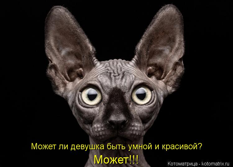 Может ли девушка быть умной и красивой? Может!!!... Котоматрица: Может ли девушка быть умной и красивой? Может!!!
