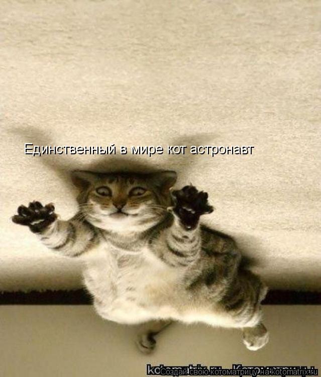 Единственный в мире кот астронавт Единственный в мире кот астронавт... Котоматрица: Единственный в мире кот астронавт Единственный в мире кот астронавт