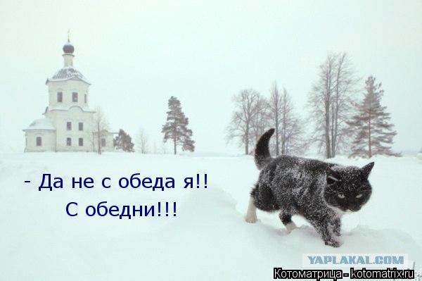 - Да не с обеда я!! С обедни!!!... Котоматрица: - Да не с обеда я!! С обедни!!!