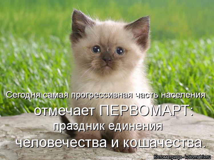 Сегодня самая прогрессивная часть населения отмечает ПЕРВОМАРТ: праздник единения человечества и к... Котоматрица: Сегодня самая прогрессивная часть населения отмечает ПЕРВОМАРТ: праздник единения человечества и кошачества.