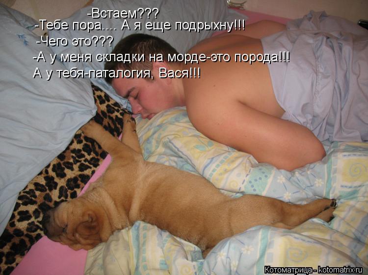 -Встаем??? -Тебе пора.... А я еще подрыхну!!! -Чего это??? -А у меня складки на морде-это порода!!! А... Котоматрица: -Встаем??? -Тебе пора.... А я еще подрыхну!!! -Чего это??? -А у меня складки на морде-это порода!!! А у тебя-паталогия, Вася!!!