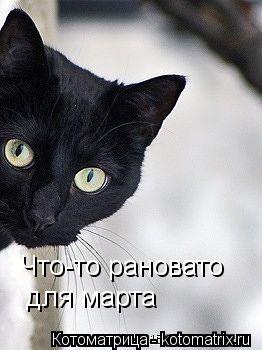 Что-то рановато для марта... Котоматрица: Что-то рановато для марта