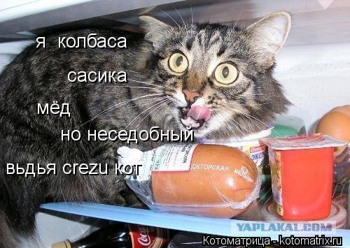 я колбаса сасика мёд но неседобный вьдья crezu кот... Котоматрица: я колбаса сасика мёд но неседобный вьдья crezu кот